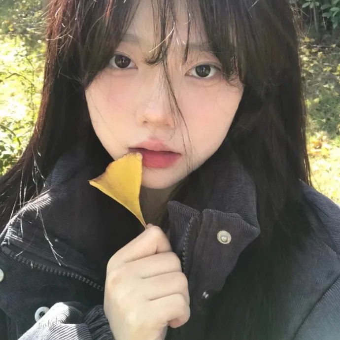 手机里的眼泪